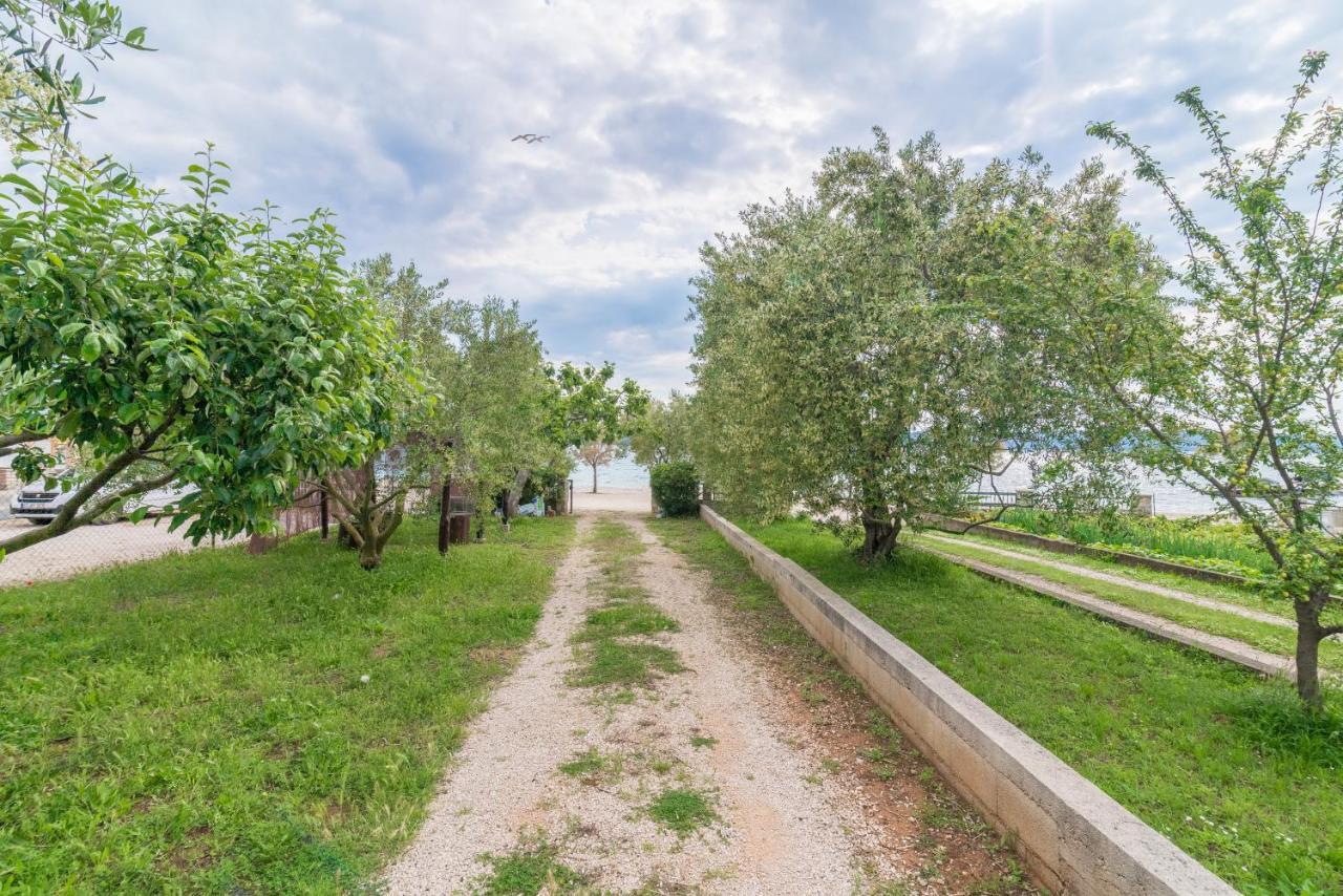 Apartments Bepina Biograd Na Moru Exterior photo